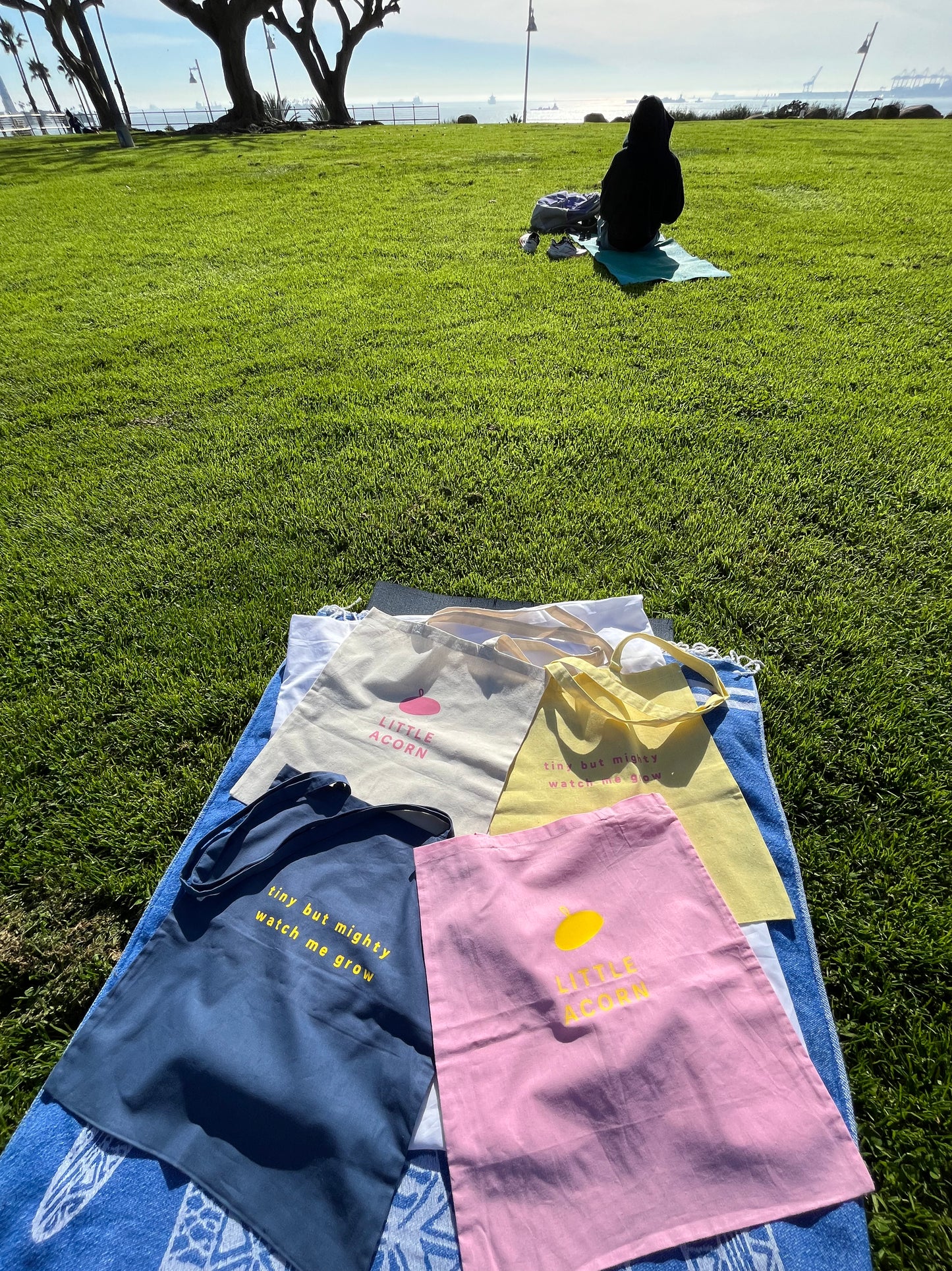 Tiny but mighty tote bag